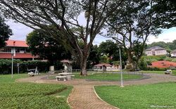 Commonwealth Avenue West (D5), Detached #580100831